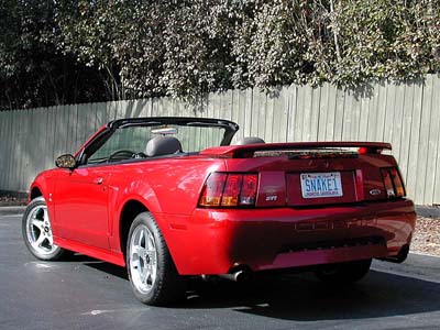 2001 Mustang Cobra Convertible(2001)